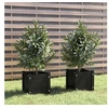 Image de Jardinières d'extérieur 2 pcs Noir 31x31x31 cm Bois de pin810531