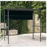 Image de Prieel met dak 220x110x200 cm antracietkleurig318533
