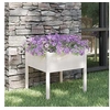 Image de Jardinière d'extérieur Blanc 70 x 70 x 70 cm Bois de pin massif
