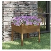 Image de Jardinière d extérieur Marron miel 70x70x70 cm Pin massif