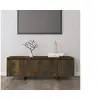 Image de Meuble TV chêne fumé 120x30x40,5 cm bois d'ingénierie813050