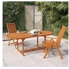 Image de Chaises de jardin pliables 2 pcs Bois d'eucalyptus massif 316069