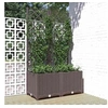 Image de Jardinière avec treillis Marron 80x40x136 cm PP