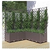 Image de Jardinière avec treillis Marron 120x120x136 cm PP