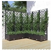 Image de Jardinière avec treillis Noir 120x120x121,5 cm PP