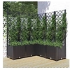 Image de Jardinière avec treillis Noir 120x120x136 cm PP