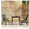 Image de Ensemble de Salle à Manger de Jardin 3 pcs Mobilier à Dîner Table et Chaises de Repas Meubles de Terrasse Patio 3099107