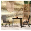 Image de Ensemble de Salle à Manger de Jardin 3 pcs Mobilier à Dîner Table et Chaises de Repas Meubles de Terrasse Patio 3099119