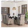 Image de Ensemble de Salle à Manger de Jardin et Coussins 9 pcs Mobilier à Dîner Table et Chaises de Repas Meubles de Terrasse 3099376