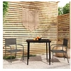 Image de Ensemble de Salle à Manger de Jardin 3 pcs Mobilier à Dîner Table et Chaises de Repas Meubles de Terrasse Patio 3099595