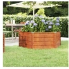 Image de Lit surélevé de jardin rouillé 129x129x45 cm acier corten