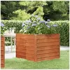 Image de Lit surélevé de jardin rouillé 100x100x77 cm acier corten