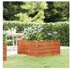 Image de Lit surélevé de jardin rouillé 100x100x45 cm acier corten