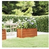 Image de Lit surélevé de jardin rouillé 100x40x45 cm acier corten