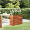 Image de Lit surélevé de jardin rouillé 100x40x77 cm acier corten