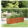 Image de Lit surélevé de jardin rouillé 160x40x45 cm acier corten