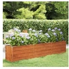 Image de Lit surélevé de jardin rouillé 240x40x45 cm acier corten
