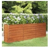 Image de Lit surélevé de jardin rouillé 240x40x77 cm acier corten