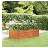 Image de Lit surélevé de jardin rouillé 160x80x45 cm acier corten
