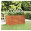 Image de Lit surélevé de jardin rouillé 160x80x77 cm acier corten