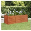 Image de Lit surélevé de jardin rouillé 240x80x77 cm acier corten