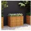 Image de Lit surélevé de jardin 100x50x69 cm acier corten