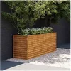 Image de Lit surélevé de jardin 196x50x69 cm acier corten 151985