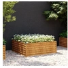 Image de Lit surélevé de jardin 100x100x36 cm acier corten