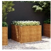 Image de Plantenbak verhoogd 100x100x69 cm cortenstaal152002