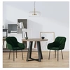 Image de Lot de 2 chaise H. 80 cm non pliable interieur en plastique vert