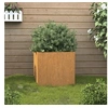 Image de Jardinière Rouillé 32x30x29 cm Acier corten 821547