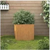 Image de Jardinière Rouillé 42x40x39 cm Acier corten 821549