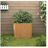 Image de Jardinière Rouillé 49x47x46 cm Acier corten 821551