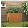 Image de Jardinière 62x47x46 cm acier corten