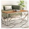 Image de Table basse argenté acier inoxydable et bois massif d'acacia349943