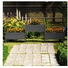 Image de 822254 Jardinière Gris 245,5x44x75 cm Bois massif de pin