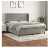 Image de Boxspring met matras fluweel lichtgrijs 180x200 cm3129285