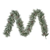 Image de Black Box Trees Vandans guirlande vert givre TIPS 150 - l270xd20cm