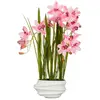 Image de Mica Decorations Plante Artificielle Cymbidium Orquidea Barco Rosa 40 x 49 x 81 cm