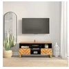 Image de Meuble TV marron et noir 100x33,5x46 cm bois massif de manguier 356801