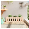 Image de Lit surélevé de jardin design de clôture 100x30x30cm pin massif 832472