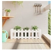 Image de Lit surélevé de jardin design de clôture 100x30x30cm pin massif 832473