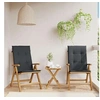 Image de Lot de 2 chaise H. 93 cm pliable en teck exterieur noir