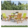 Image de Lot de 4 chaise exterieur pliable H. 104 cm en teck vert