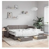 Image de Slaapbank met onderschuifbed en lades 100x200 cm stof taupe3197678