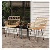 Image de Chaises de jardin lot de 2 accoudoir 56x64x80 cm Résine tressée