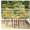 Image de Chaises de jardin lot de 2 48x62x84 cm Résine tressée