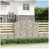 Image de Schanskorven 2 st gewelfd 200x30x160/180 cm ijzer3145493