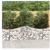 Image de Schanskorven 8 st gewelfd 200x50x60/80 cm gegalvaniseerd ijzer3145604