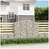 Image de Schanskorven 12 st gewelfd 200x50x160/180 cm ijzer3145713